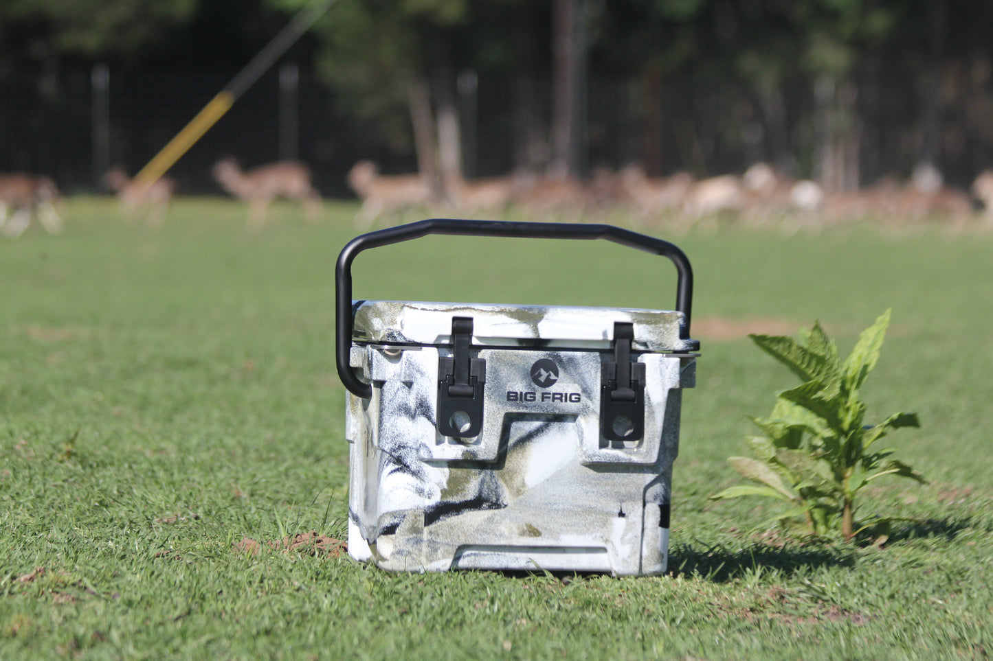 EOA Branded Cooler